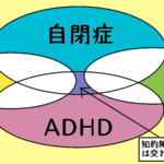 タロー初めての発達診断⑤大人から見たタロー