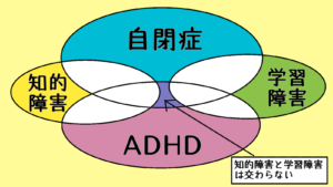 タロー初めての発達診断⑤大人から見たタロー